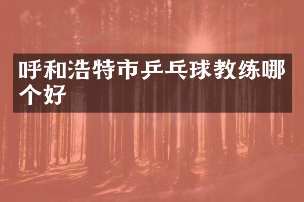 呼和浩特市乒乓球教练哪个好