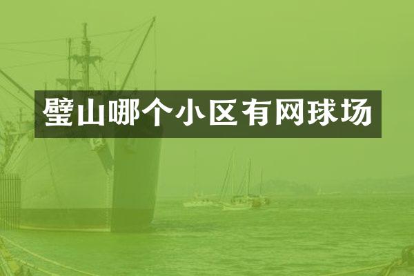 璧山哪个小区有网球场