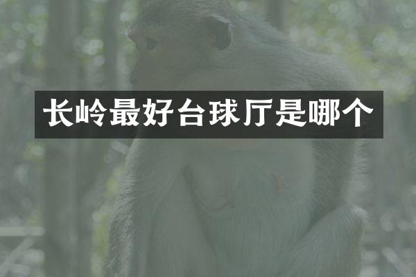 长岭最好台球厅是哪个