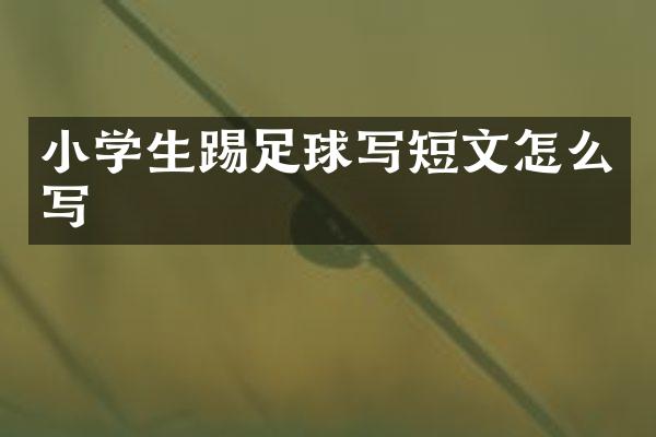 小学生踢足球写短文怎么写