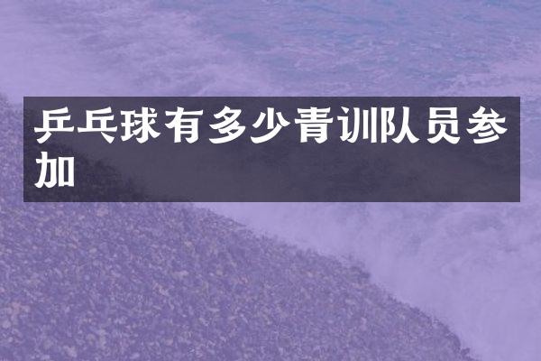 乒乓球有多少青训队员参加