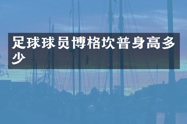 足球球员博格坎普身高多少
