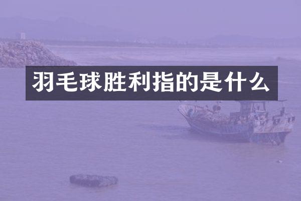 羽毛球胜利指的是什么