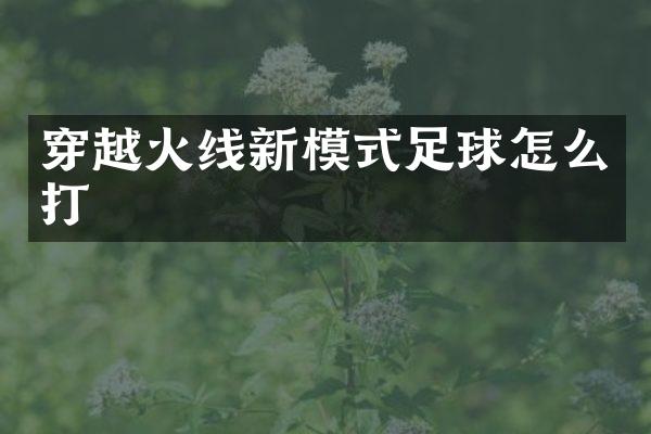 穿越火线新模式足球怎么打