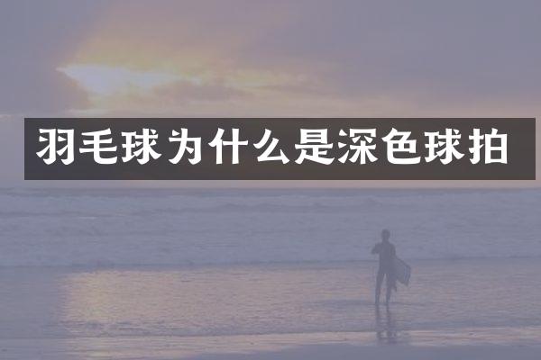 羽毛球为什么是深色球拍
