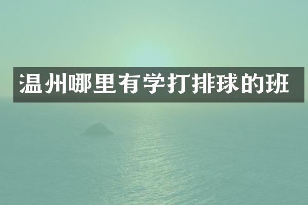 温州哪里有学打排球的班