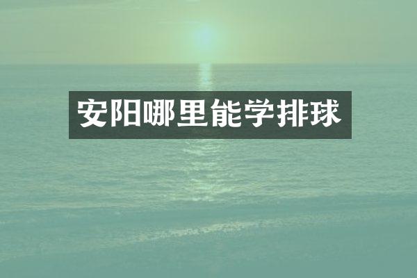 安阳哪里能学排球