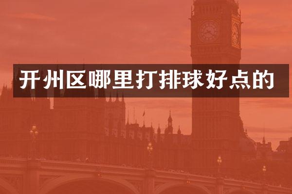 开州区哪里打排球好点的