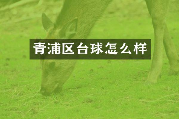 青浦区台球怎么样
