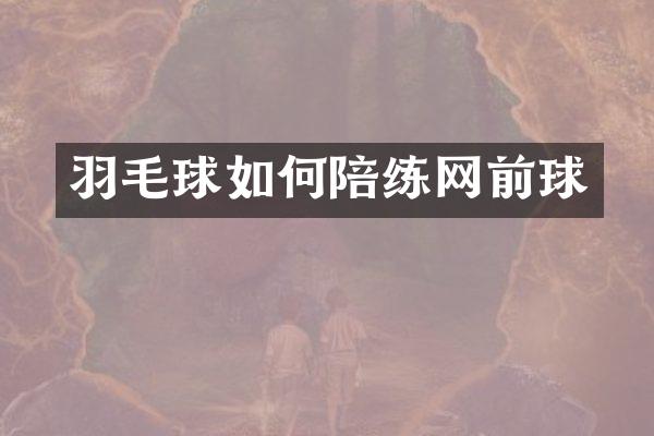 羽毛球如何陪练网前球