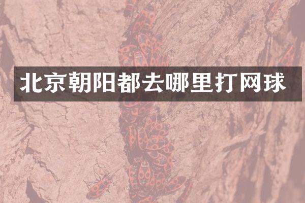 北京朝阳都去哪里打网球