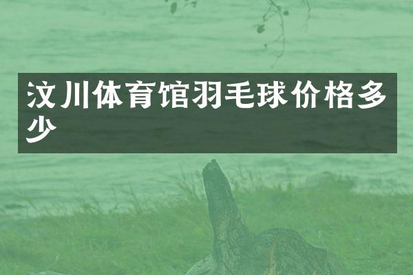 汶川体育馆羽毛球价格多少