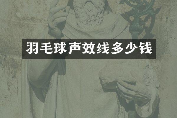 羽毛球声效线多少钱