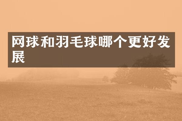 网球和羽毛球哪个更好发展