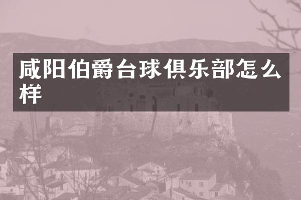 咸阳伯爵台球俱乐部怎么样
