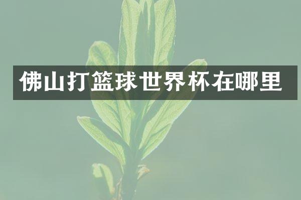 佛山打篮球世界杯在哪里