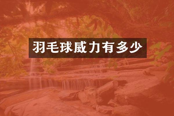 羽毛球威力有多少