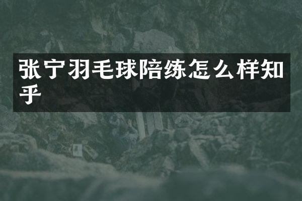 张宁羽毛球陪练怎么样知乎
