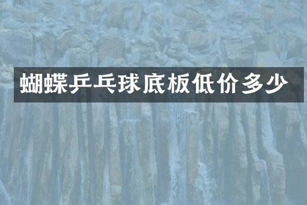 蝴蝶乒乓球底板低价多少