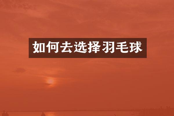 如何去选择羽毛球