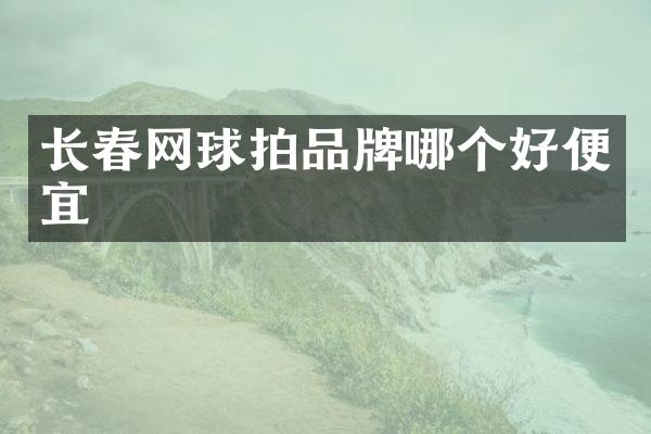 长春网球拍品牌哪个好便宜