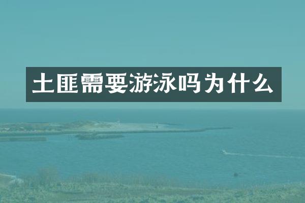 土匪需要游泳吗为什么