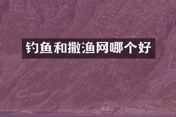钓鱼和撒渔网哪个好