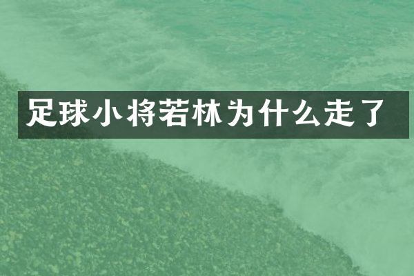足球小将若林为什么走了