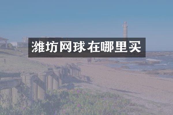 潍坊网球在哪里买