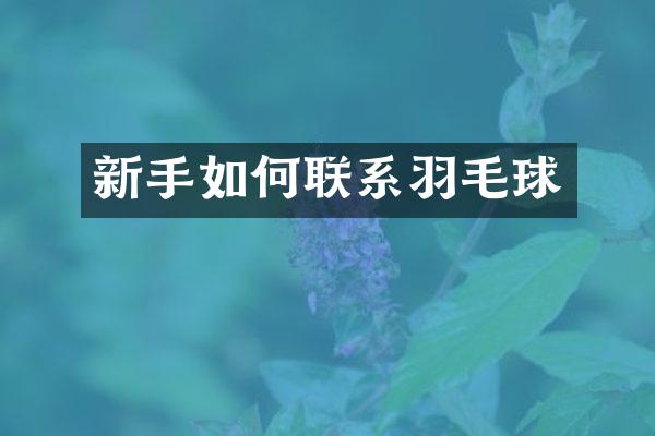 新手如何联系羽毛球
