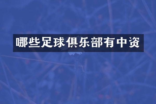 哪些足球俱乐部有中资
