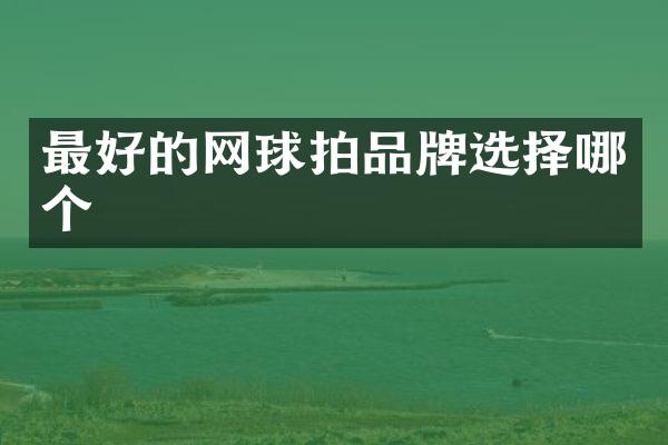 最好的网球拍品牌选择哪个