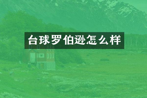 台球罗伯逊怎么样