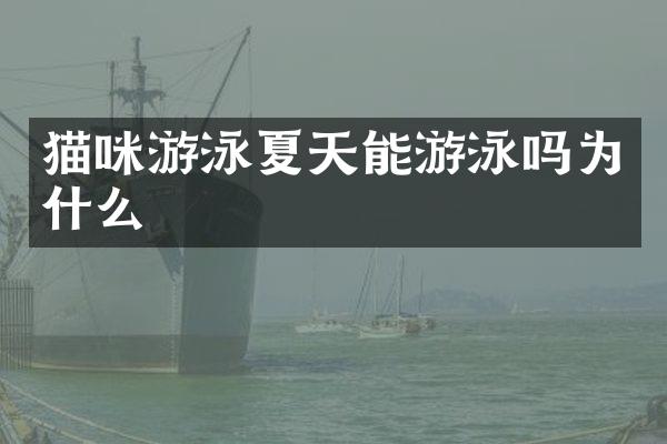 猫咪游泳夏天能游泳吗为什么