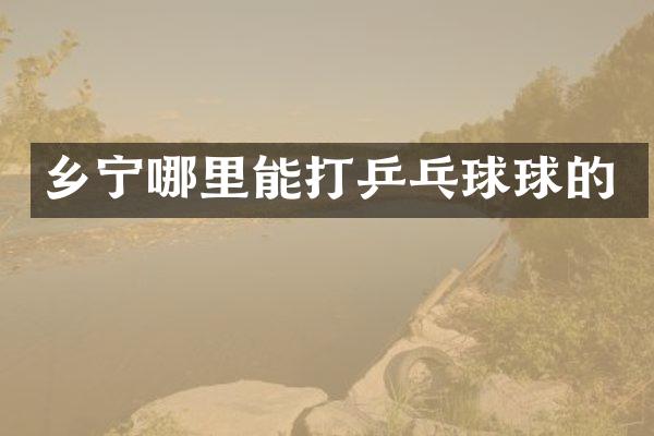 乡宁哪里能打乒乓球球的