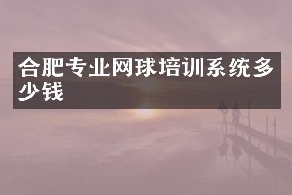 合肥专业网球培训系统多少钱