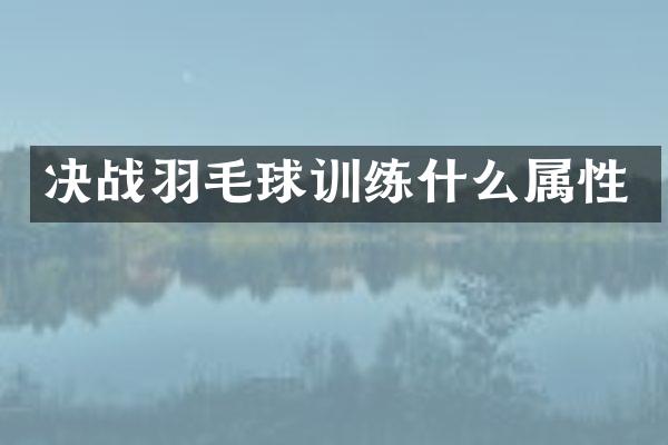 决战羽毛球训练什么属性