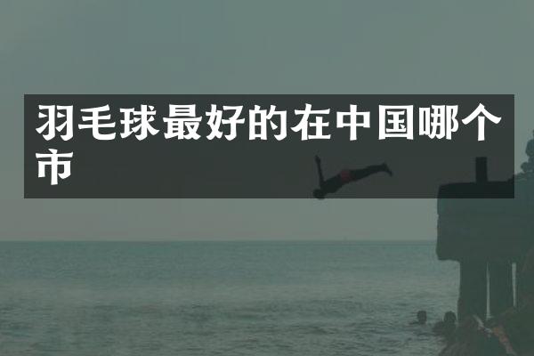 羽毛球最好的在中国哪个市