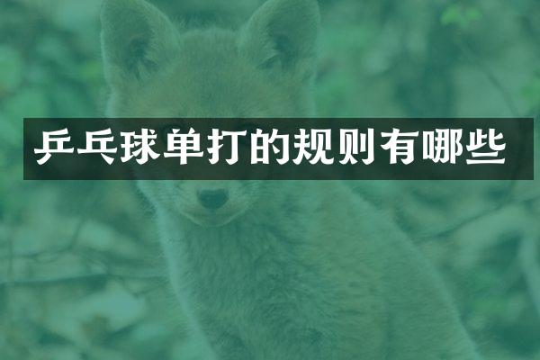 乒乓球单打的规则有哪些