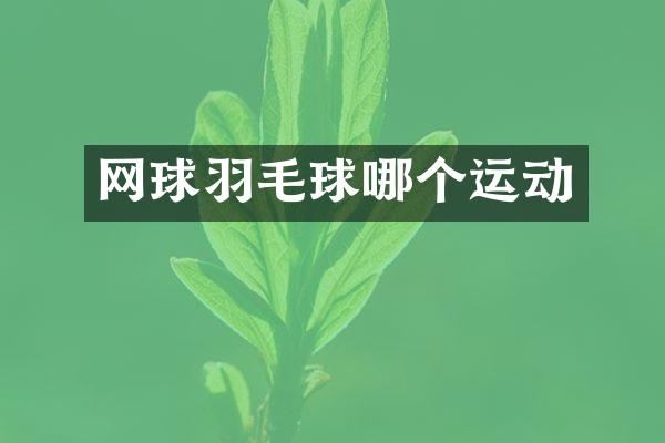 网球羽毛球哪个运动