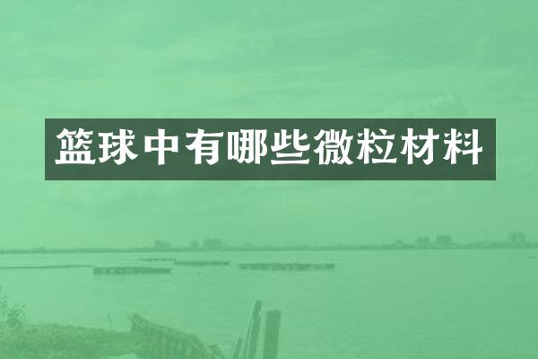 篮球中有哪些微粒材料