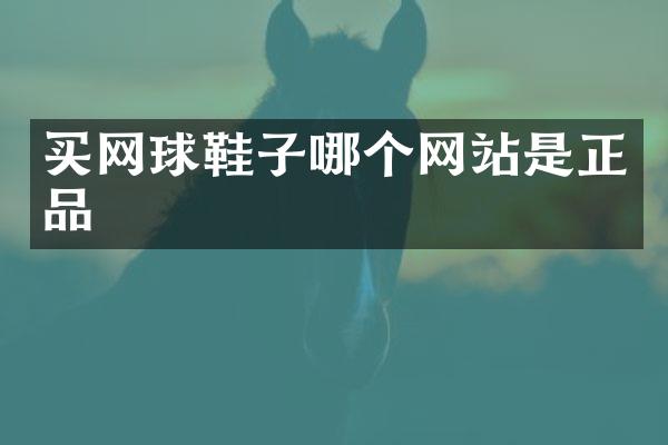 买网球鞋子哪个网站是正品