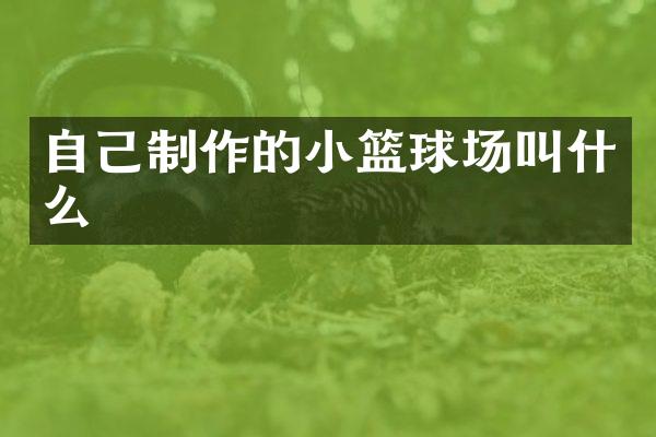自己制作的小篮球场叫什么
