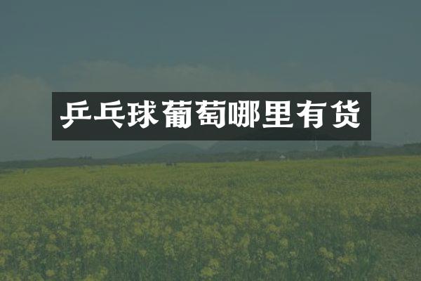 乒乓球葡萄哪里有货