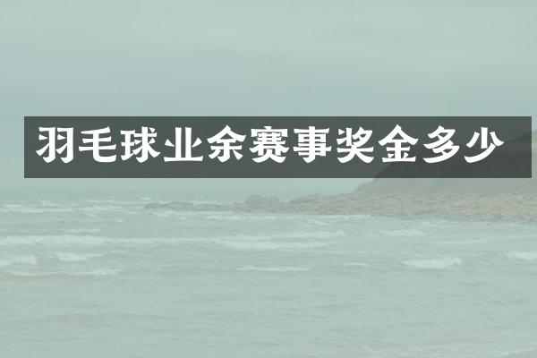 羽毛球业余赛事奖金多少
