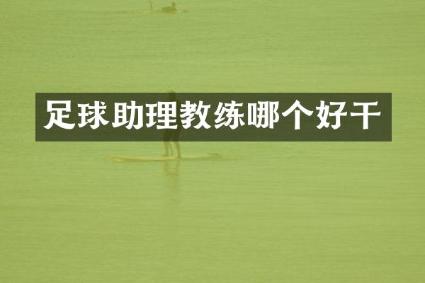 足球助理教练哪个好干