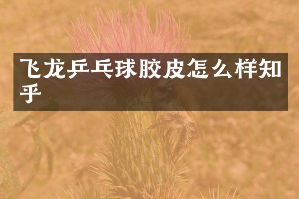 飞龙乒乓球胶皮怎么样知乎