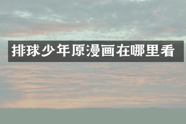 排球少年原漫画在哪里看