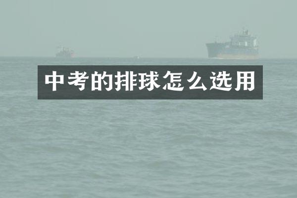 中考的排球怎么选用