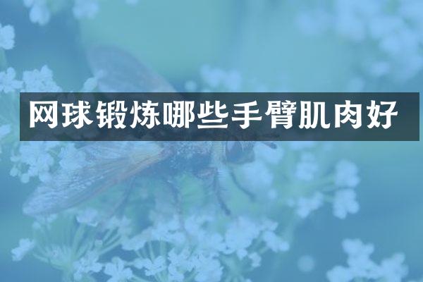 网球锻炼哪些手臂肌肉好